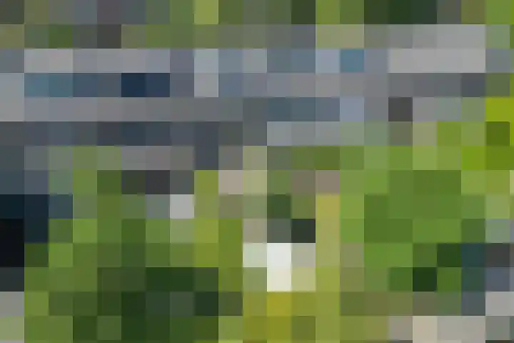 Meidoornstraat 11 Bussum thumbnail 34