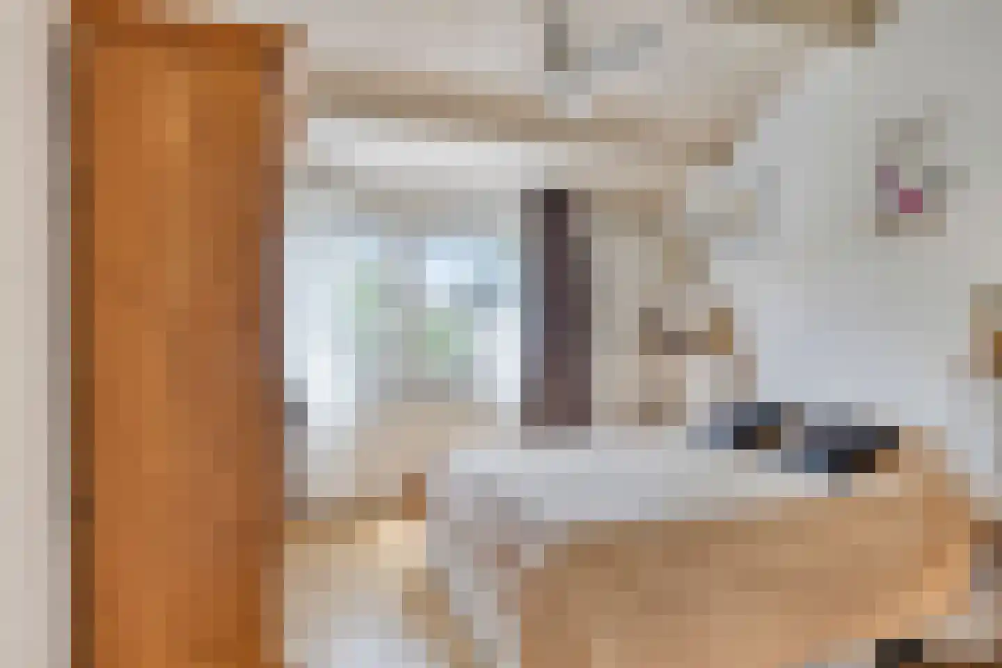 Meidoornstraat 11 Heteren thumbnail 21