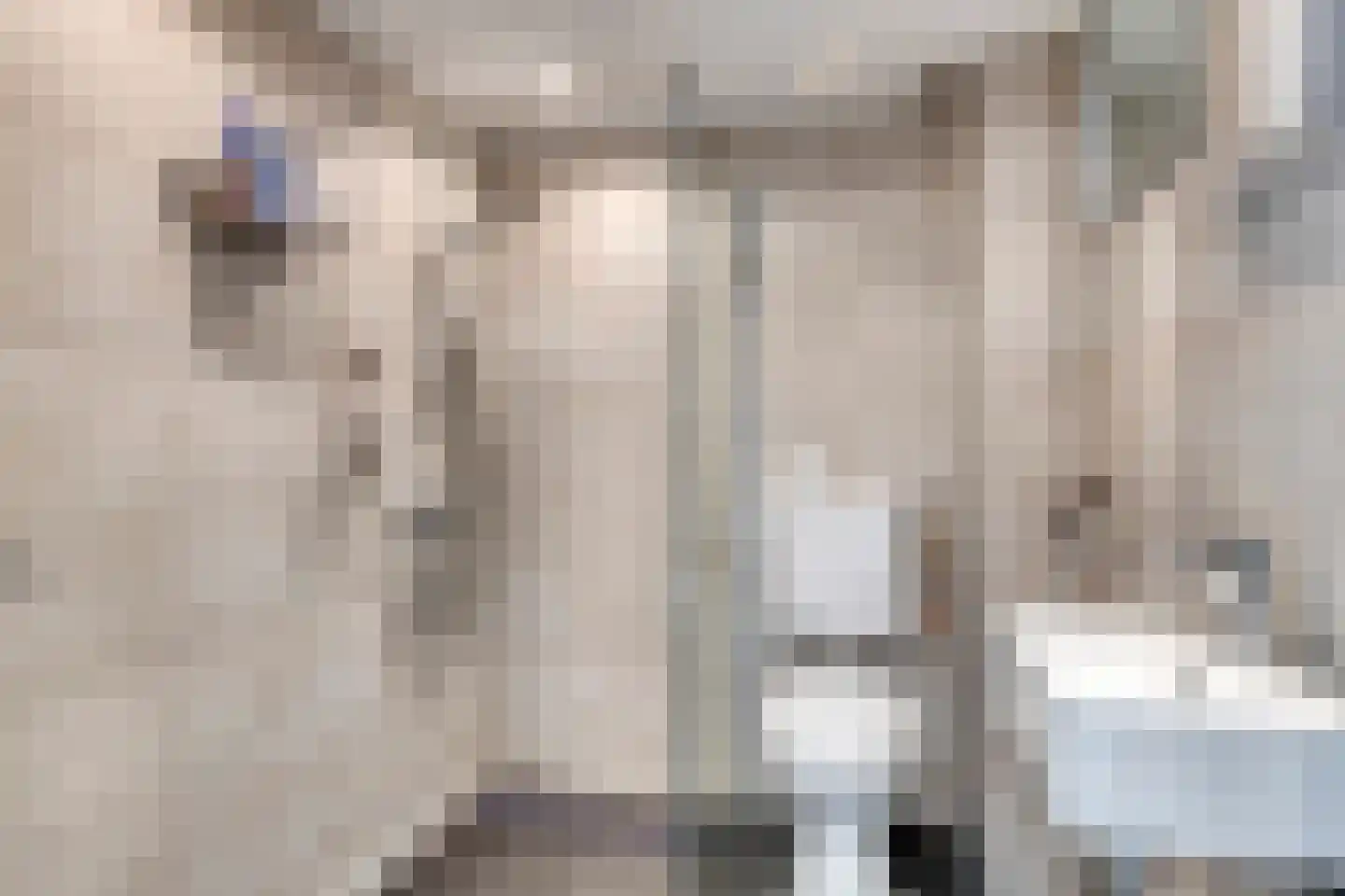 Meidoornstraat 11 Heteren thumbnail 24