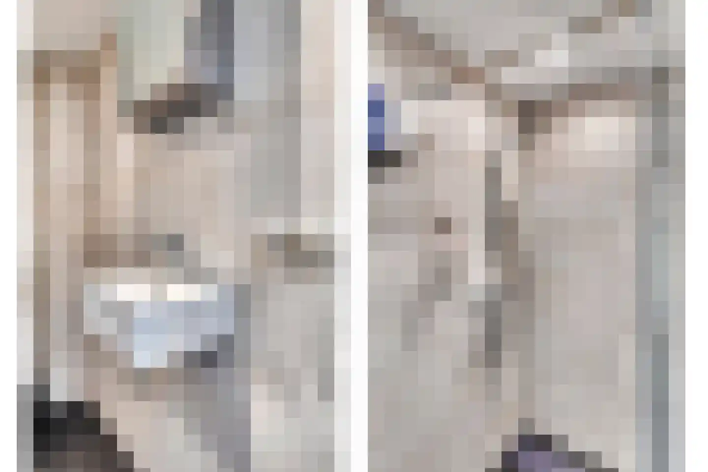 Meidoornstraat 11 Heteren thumbnail 25