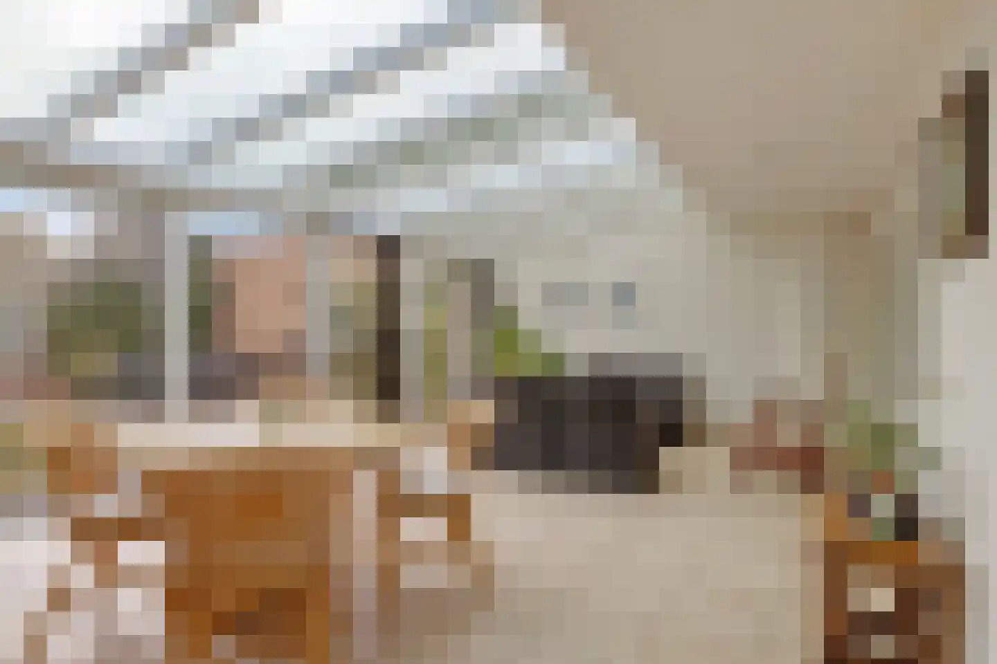Meidoornstraat 11 Nederweert thumbnail 18
