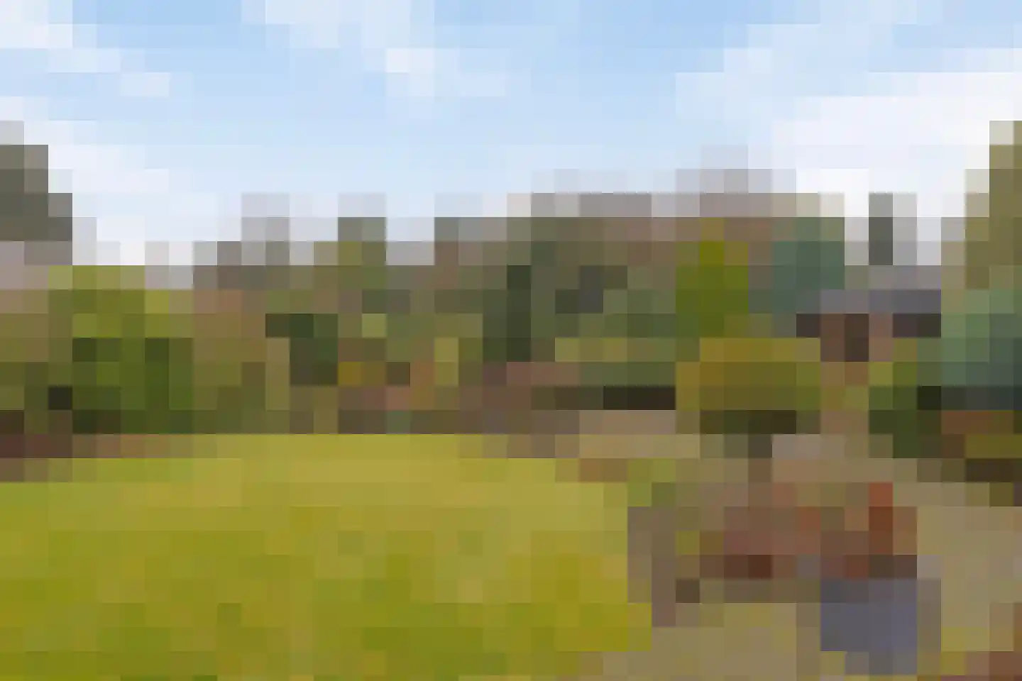 Meidoornstraat 11 Nederweert thumbnail 39