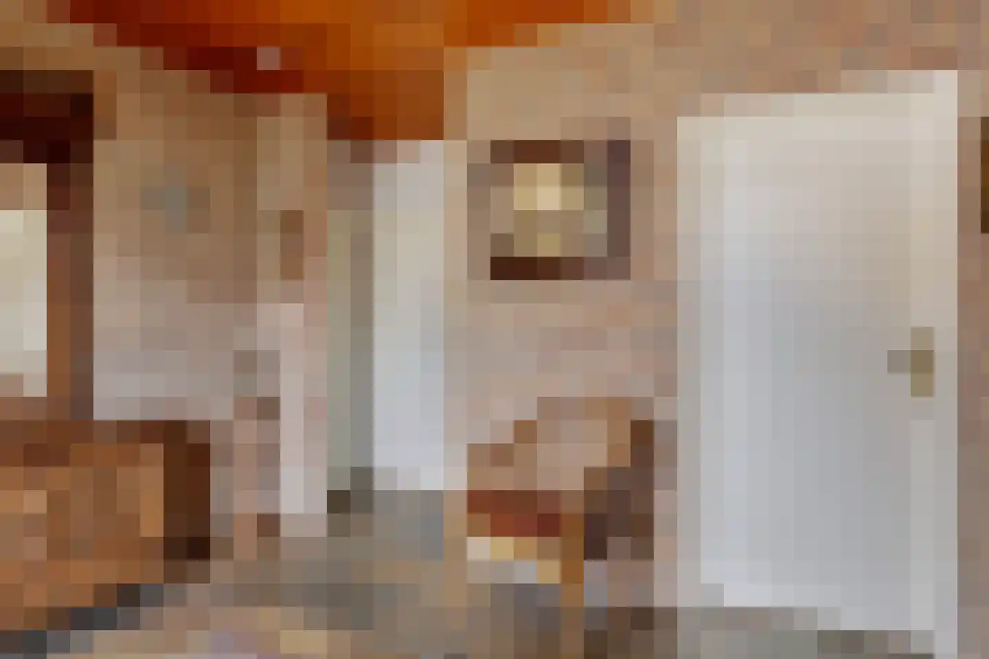Meidoornstraat 11 Nederweert thumbnail 6