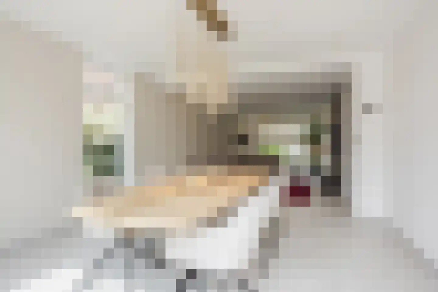 Meidoornstraat 11 Veghel thumbnail 17