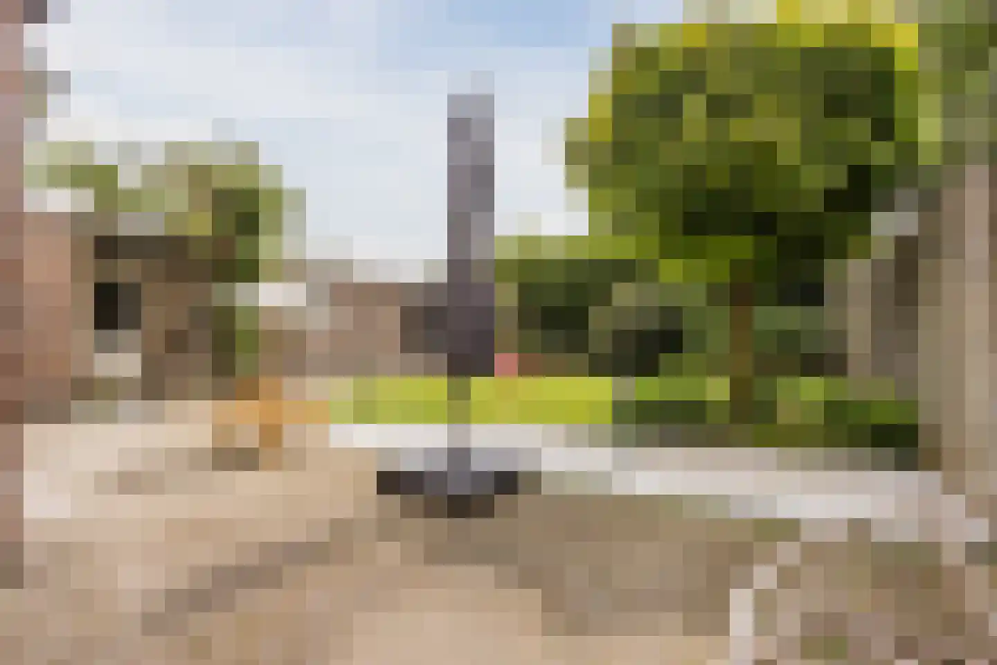 Meidoornstraat 11 Veghel thumbnail 41