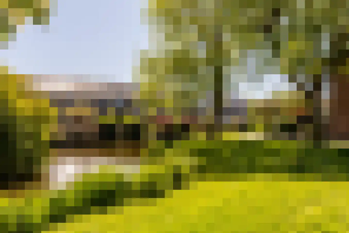 Meidoornstraat 114 Bergambacht thumbnail 45