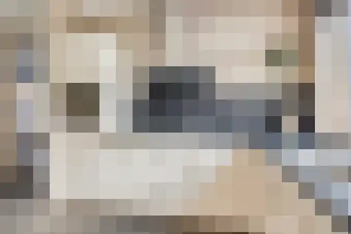 Meidoornstraat 119 Losser thumbnail 16