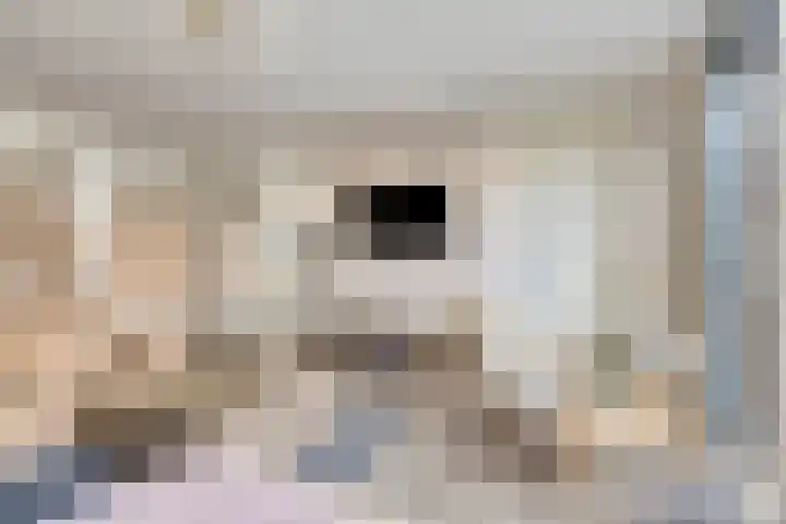 Meidoornstraat 119 Losser thumbnail 8