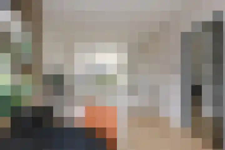 Meidoornstraat 12 Deest thumbnail 13