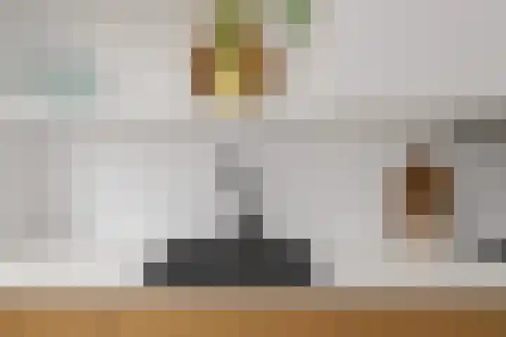 Meidoornstraat 12 Deest thumbnail 16