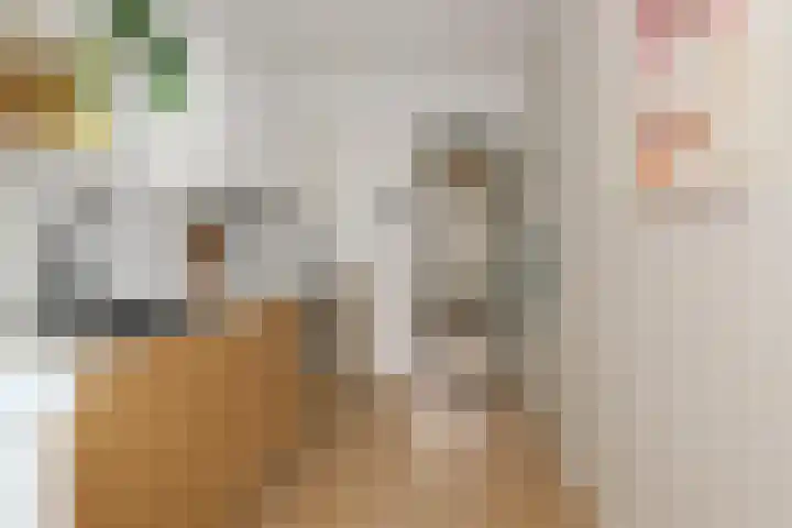 Meidoornstraat 12 Deest thumbnail 17