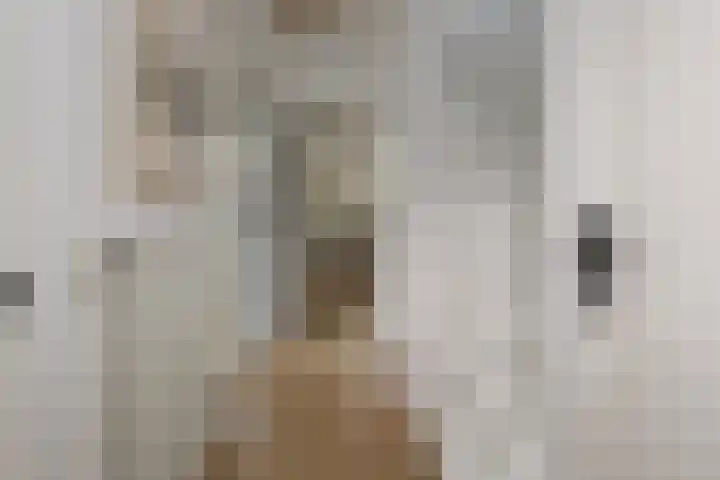 Meidoornstraat 12 Deest thumbnail 19