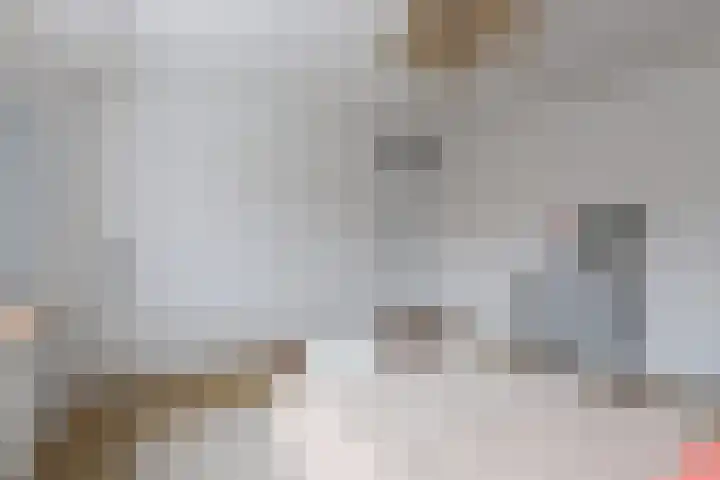 Meidoornstraat 12 Deest thumbnail 21