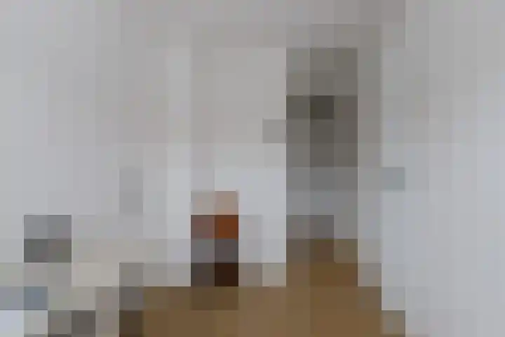 Meidoornstraat 12 Deest thumbnail 28