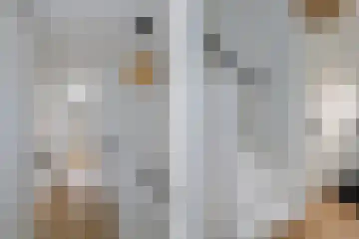 Meidoornstraat 12 Deest thumbnail 29