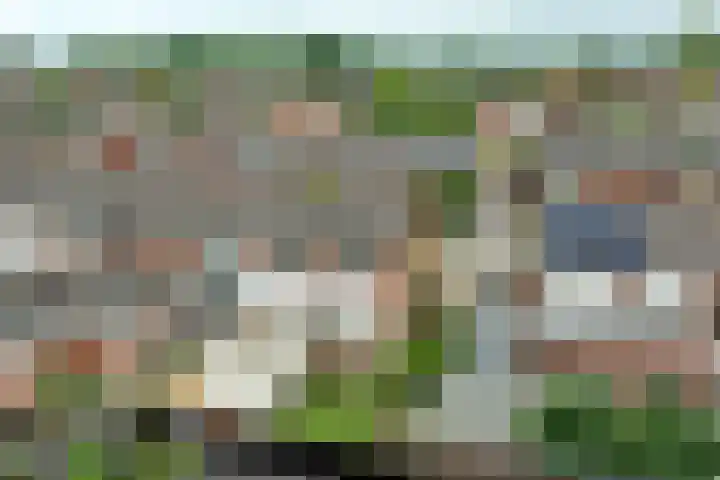 Meidoornstraat 12 Deest thumbnail 31