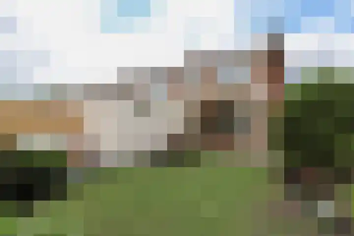 Meidoornstraat 12 Deest thumbnail 35