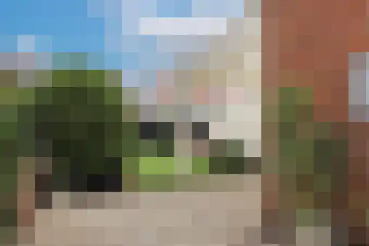 Meidoornstraat 12 Deest thumbnail 38