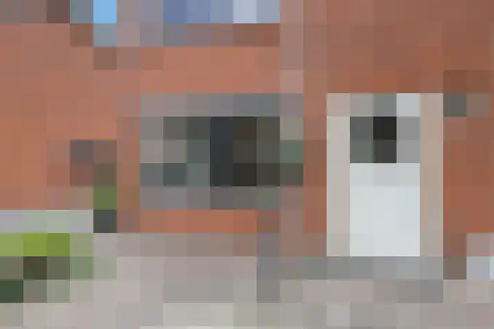 Meidoornstraat 12 Deest thumbnail 40