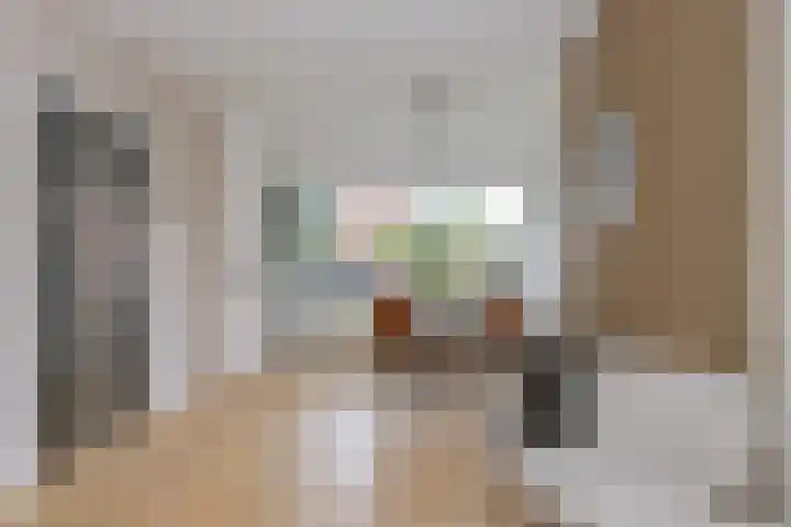 Meidoornstraat 12 Deest thumbnail 8