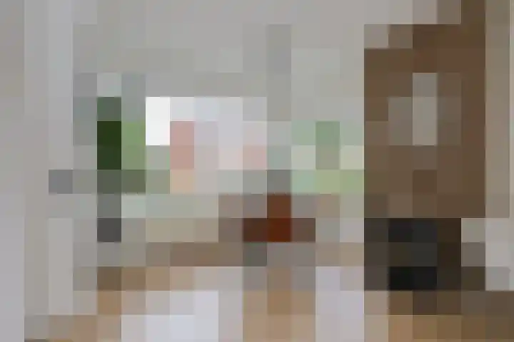 Meidoornstraat 12 Deest thumbnail 9