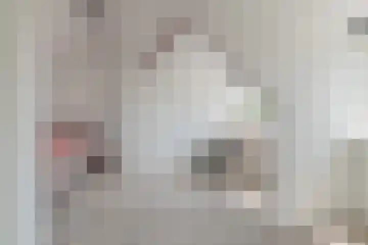 Meidoornstraat 12 Nieuwegein thumbnail 15