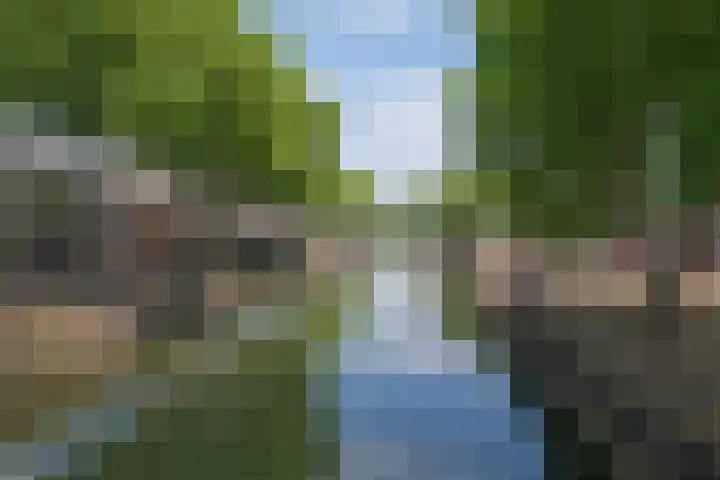Meidoornstraat 12 Nieuwegein thumbnail 30