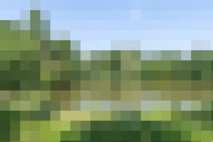 Meidoornstraat 12 Nieuwegein thumbnail 33
