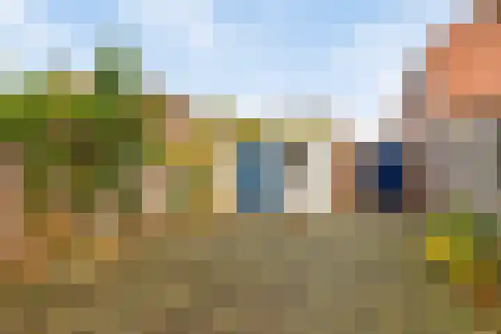 Meidoornstraat 12 's-Hertogenbosch thumbnail 11
