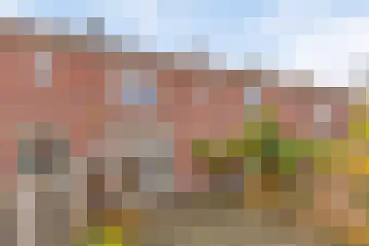 Meidoornstraat 12 's-Hertogenbosch thumbnail 12