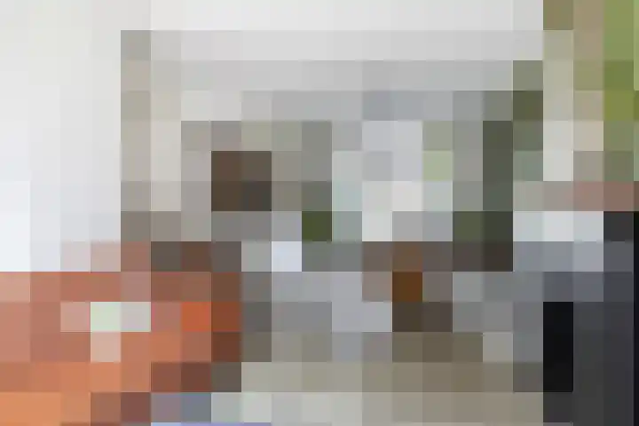 Meidoornstraat 12 's-Hertogenbosch thumbnail 4