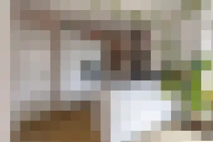 Meidoornstraat 12 's-Hertogenbosch thumbnail 7