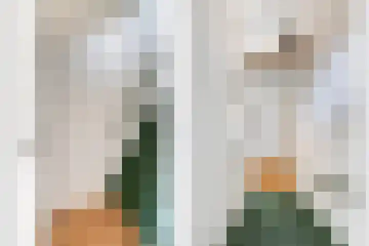 Meidoornstraat 12 Utrecht thumbnail 18