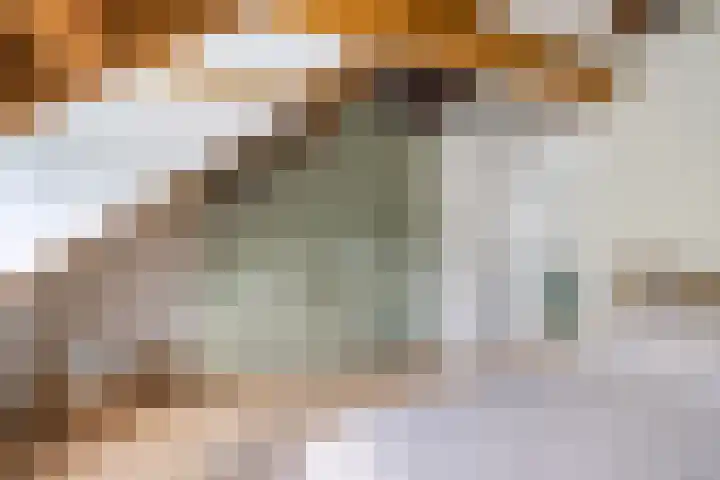 Meidoornstraat 12 Utrecht thumbnail 21