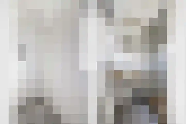 Meidoornstraat 12 Utrecht thumbnail 25