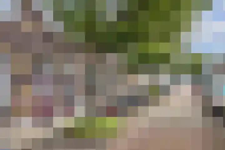 Meidoornstraat 12 Utrecht thumbnail 33