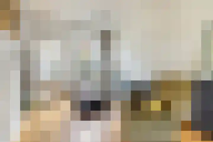 Meidoornstraat 12 Utrecht thumbnail 8
