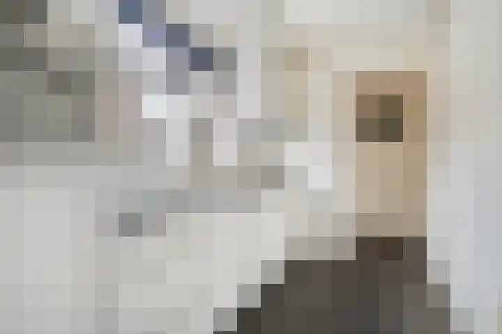 Meidoornstraat 12 Zwolle thumbnail 11