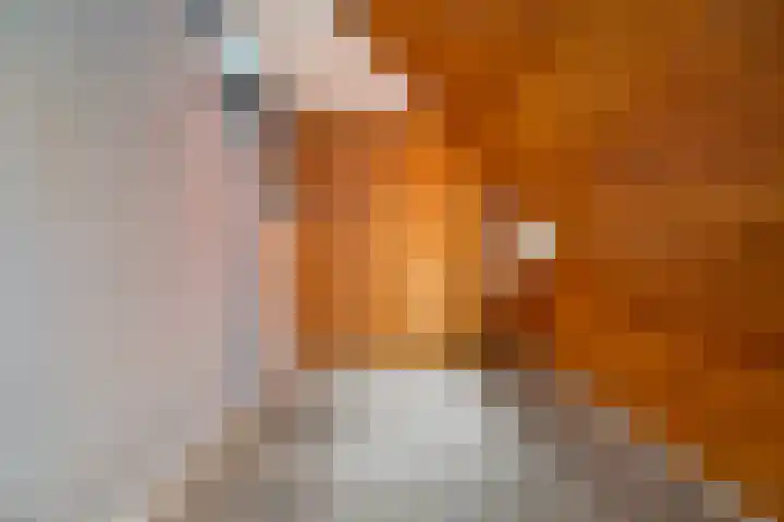 Meidoornstraat 12 Zwolle thumbnail 17