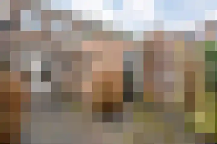 Meidoornstraat 12 Zwolle thumbnail 26