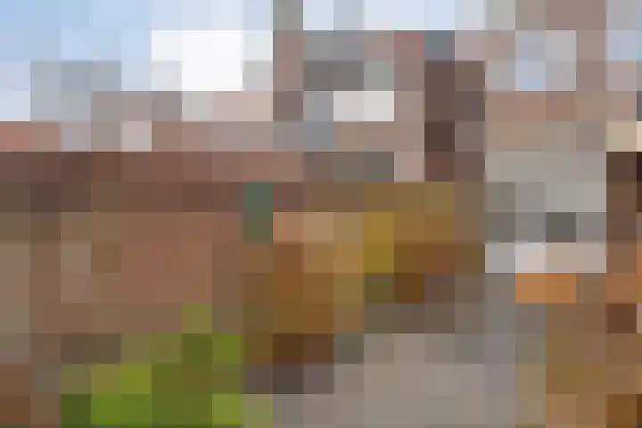 Meidoornstraat 12 Zwolle thumbnail 27