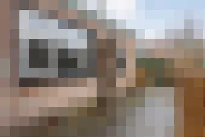 Meidoornstraat 12 Zwolle thumbnail 29