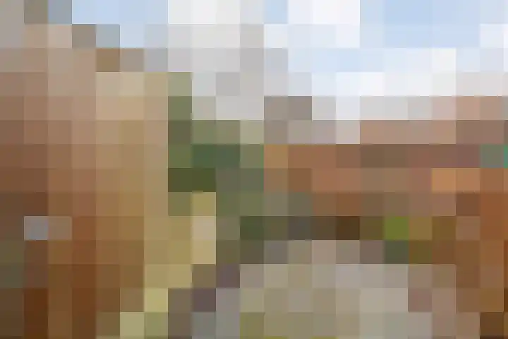 Meidoornstraat 12 Zwolle thumbnail 30
