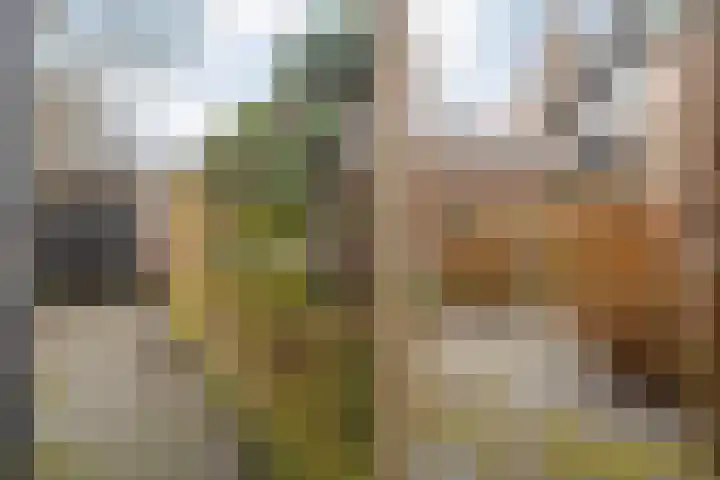 Meidoornstraat 12 Zwolle thumbnail 31