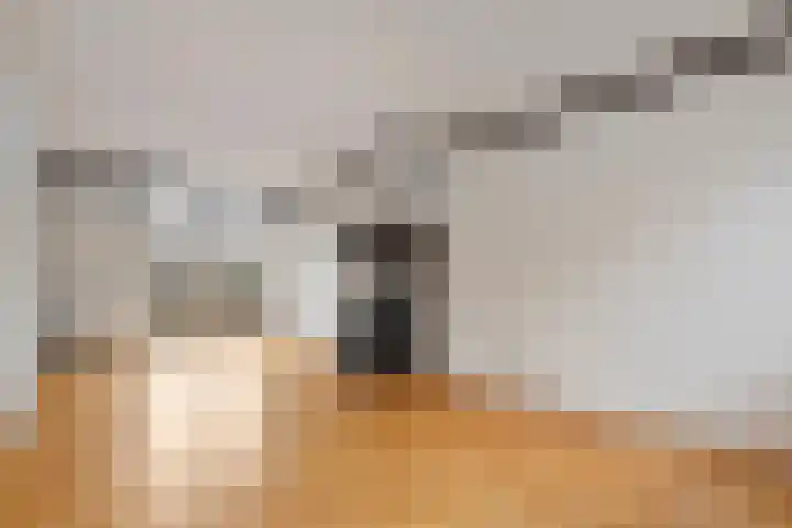 Meidoornstraat 12 Zwolle thumbnail 4