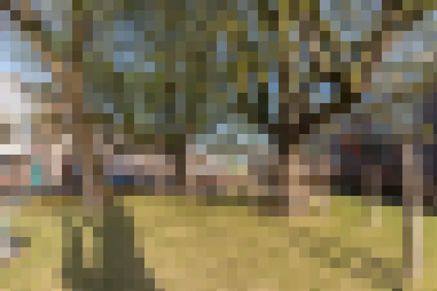 Meidoornstraat 124 Den Haag thumbnail 17