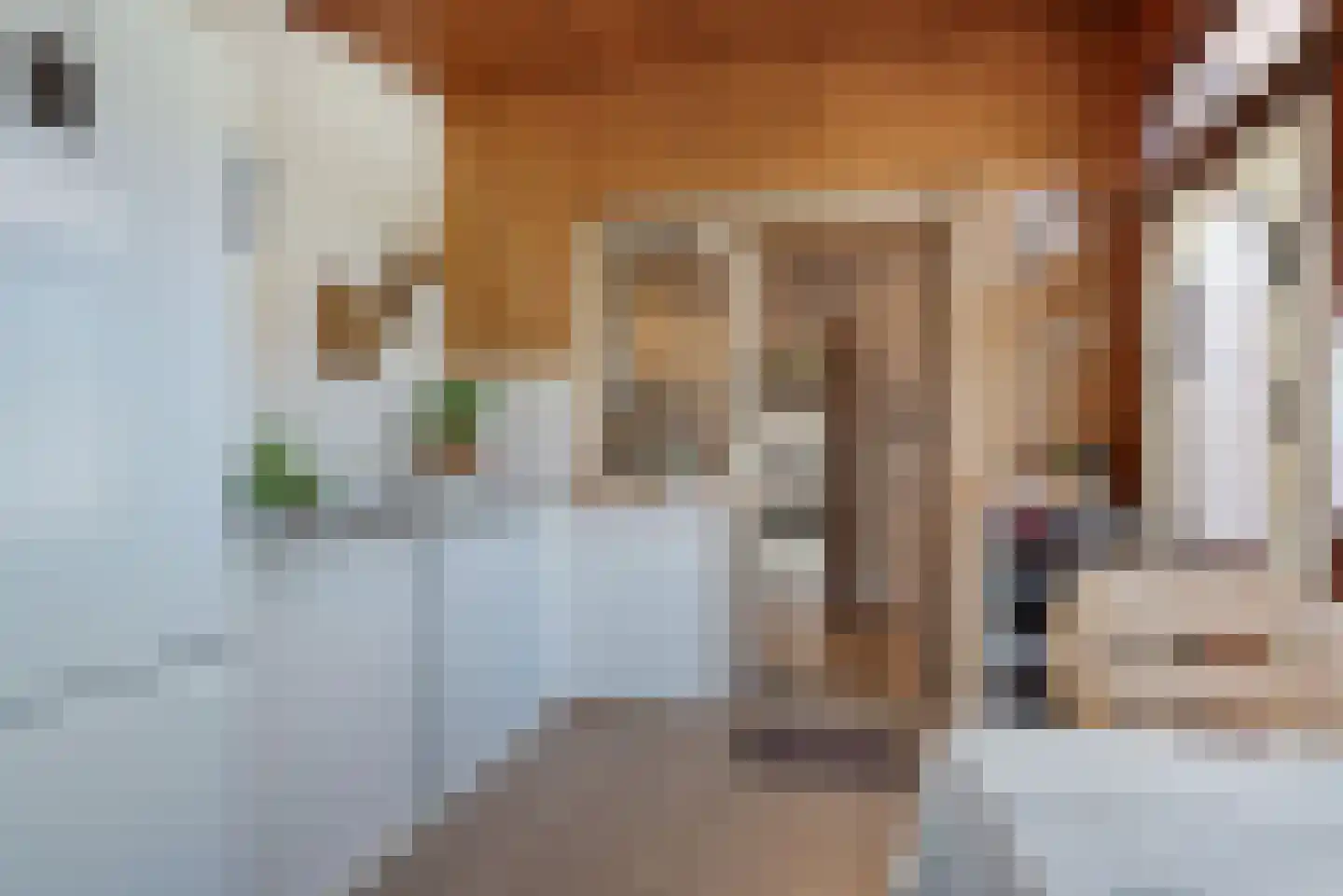 Meidoornstraat 13 Roelofarendsveen thumbnail 11