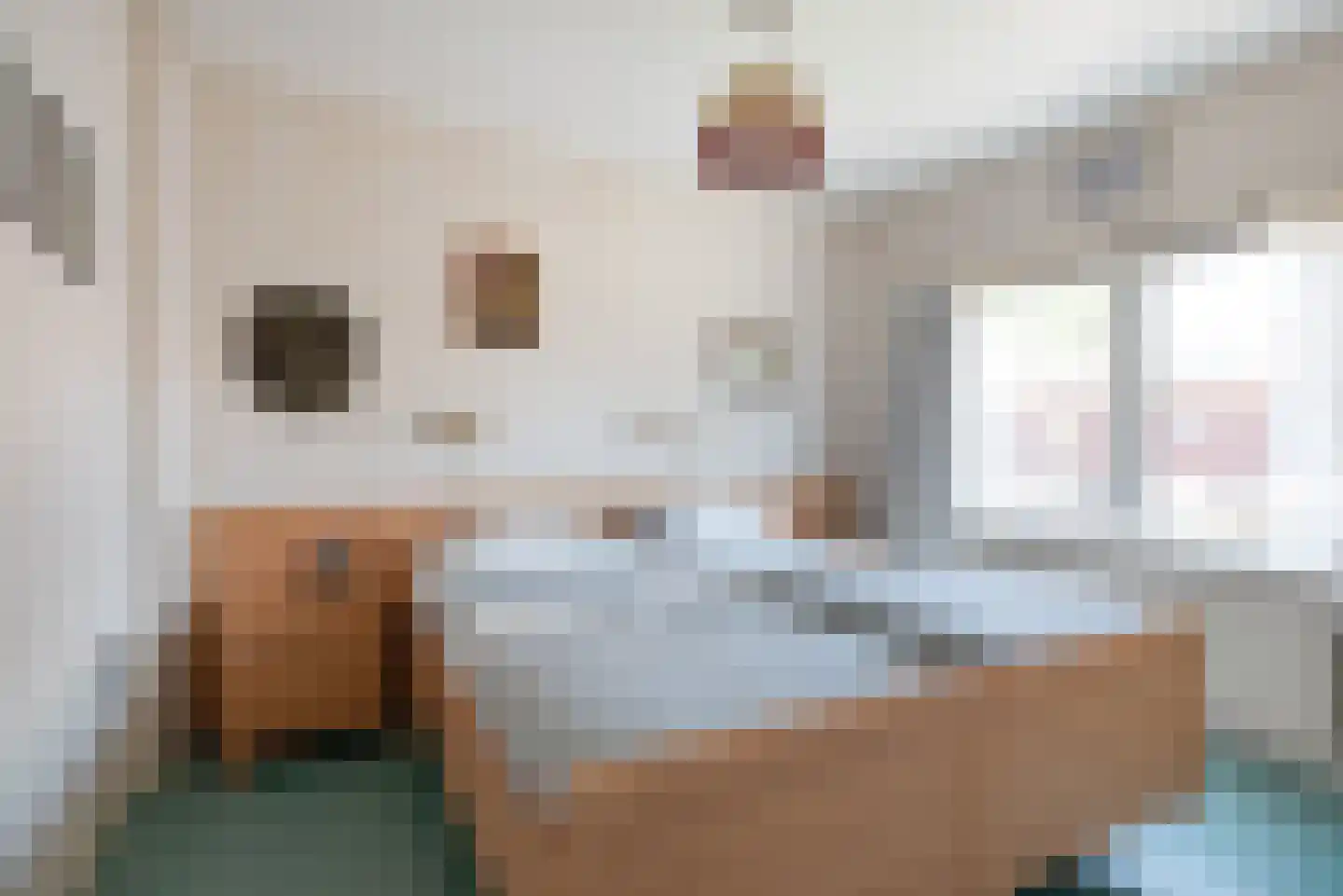 Meidoornstraat 13 Roelofarendsveen thumbnail 15