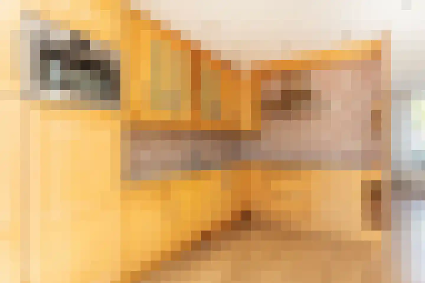 Meidoornstraat 13 Schipluiden thumbnail 16