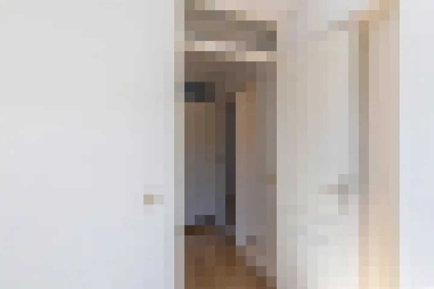 Meidoornstraat 13 Schipluiden thumbnail 26